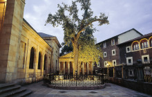 Letango Tours1