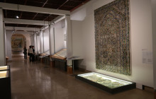 Letango Tours5