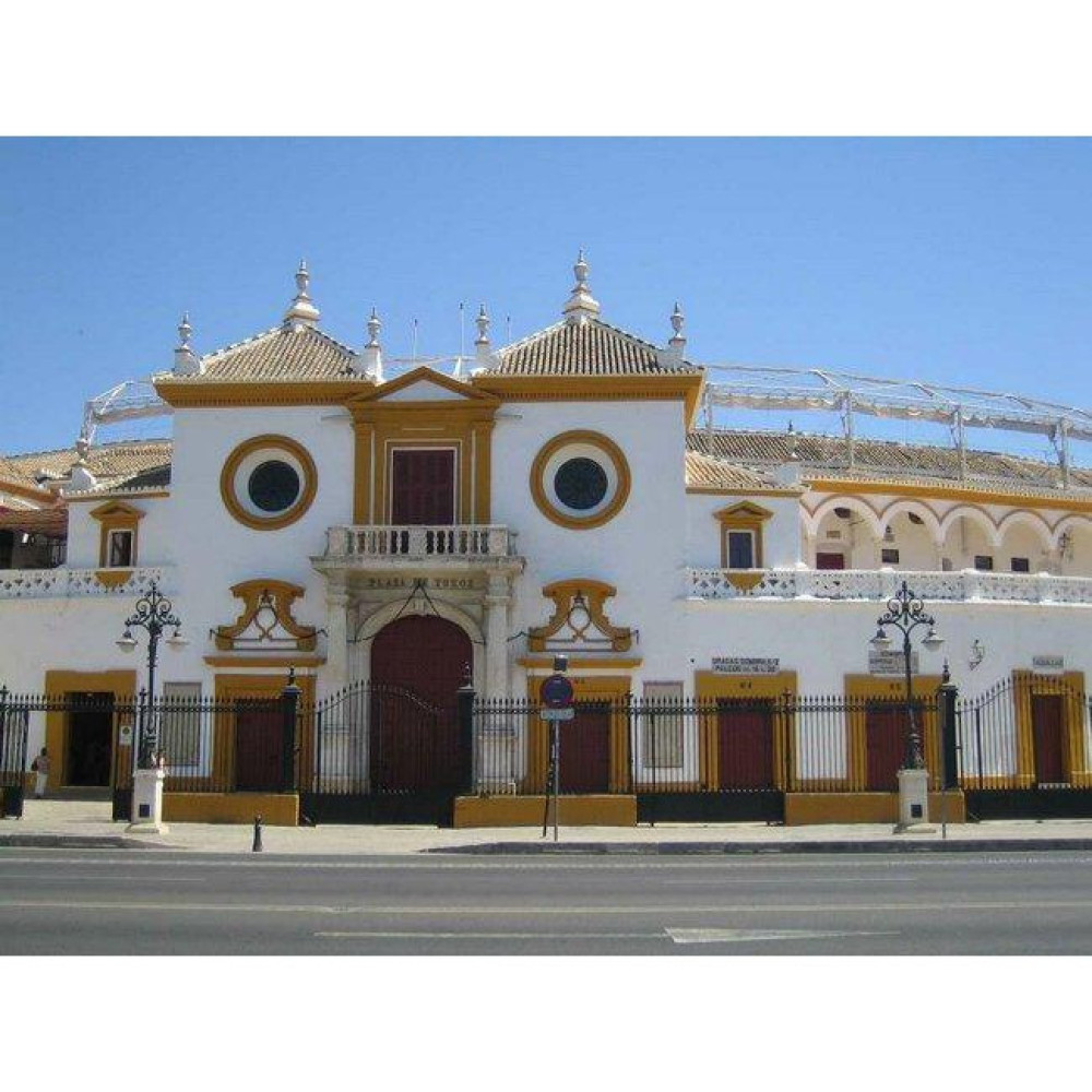 Cádiz Shore Excursion: Private Seville City & History Tour