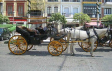 Letango Tours6