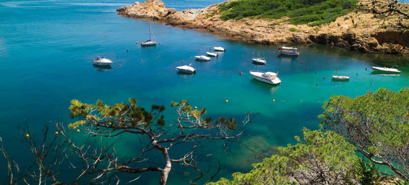 Private Costa Brava Day Trip with Medieval Villages from Barcelona, photo 3 of 8