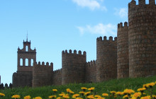 Letango Tours4