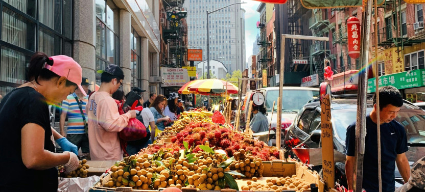 Brooklyn, Bronx & Queens by Private Luxury SUV