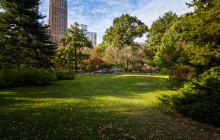 ExperienceFirst - New York5