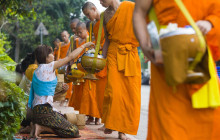 Discova Day Tours and Activities2