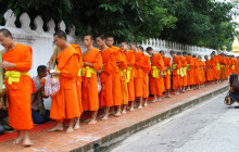 Discova Day Tours and Activities3