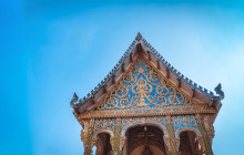 Discova Day Tours and Activities5