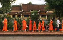 Discova Day Tours and Activities4