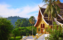 Discova Day Tours and Activities6