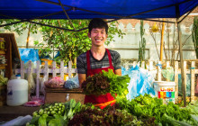 Discova Day Tours and Activities9