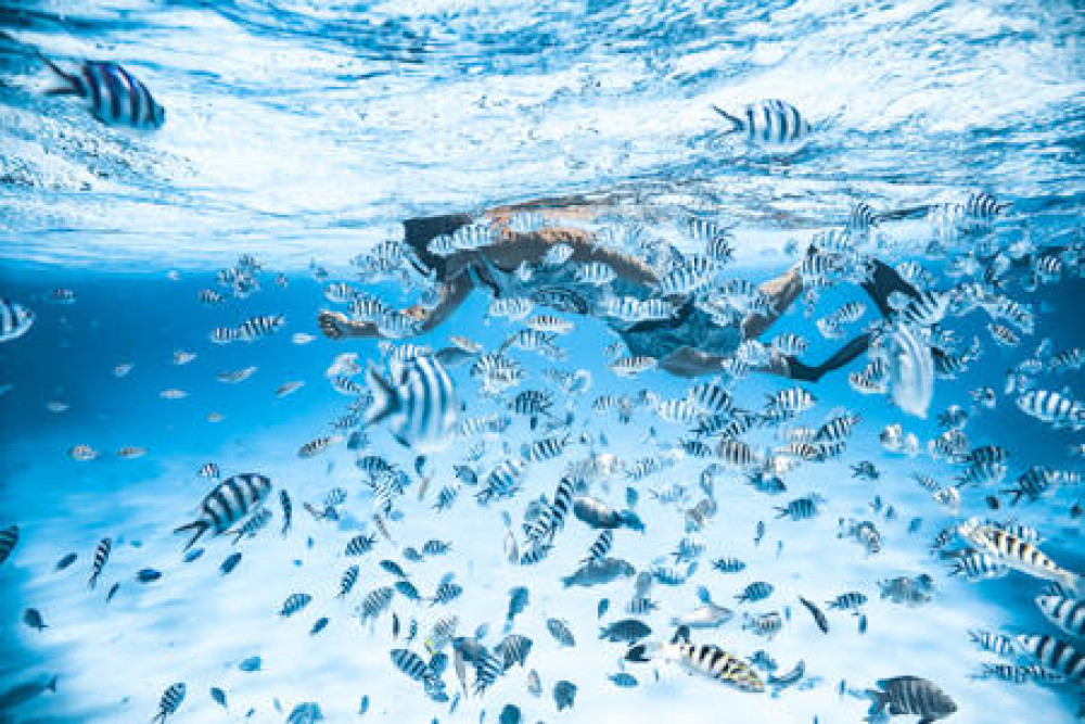 Full-Day 4x4 Land Adventure & Lagoon Snorkeling Tour in Bora Bora