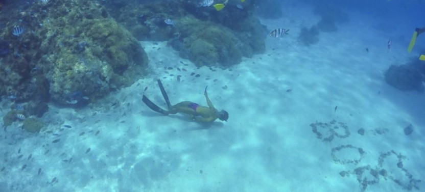 Full-Day Combo Lagoon Snorkeling Tour &  4x4 Land Adventure in Bora Bora