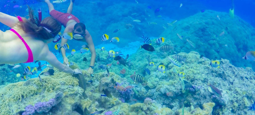 Full-day Bora Bora Lagoon Snorkeling with Ray & Shark and Motu Lunch