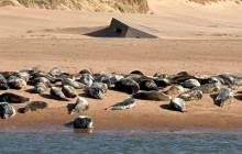 Time Exposure Travel Ltd2