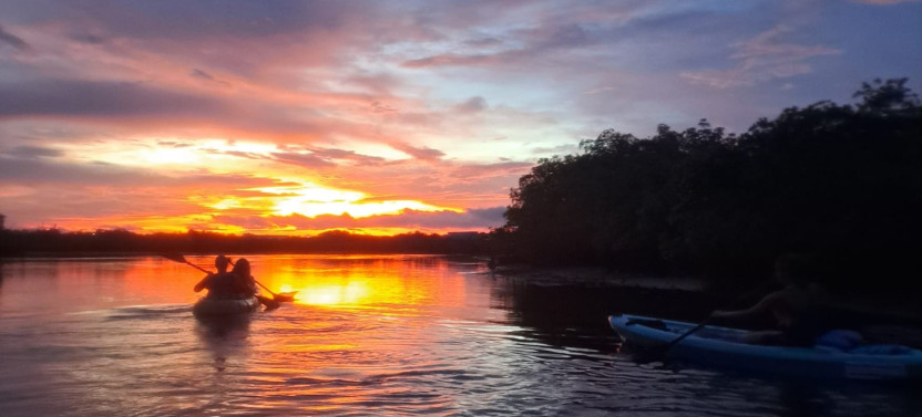 Sunset Wildlife Kayak Small Group Tour 
