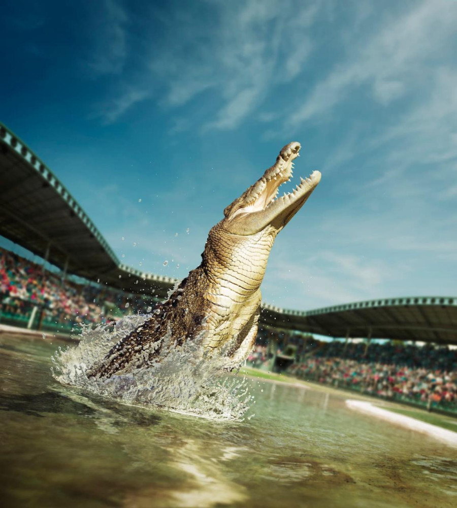 Private Australia Zoo & Scenic Reserve or Caloundra Tour