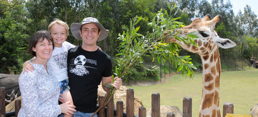 Private Australia Zoo & Scenic Reserve or Caloundra Tour