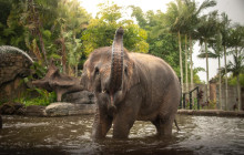 Adventure Day Trips Brisbane4
