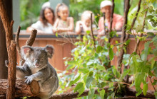 Adventure Day Trips Brisbane5