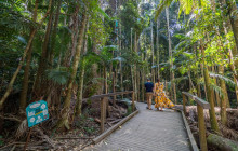 Adventure Day Trips Brisbane9
