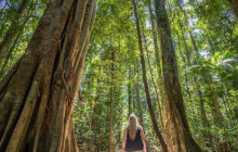 Adventure Day Trips Brisbane10