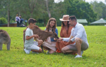 Adventure Day Trips Brisbane3