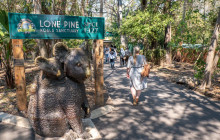Adventure Day Trips Brisbane6