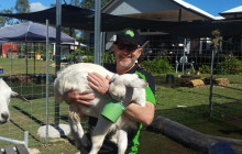 Adventure Day Trips Brisbane5