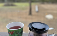 Adventure Day Trips Brisbane8