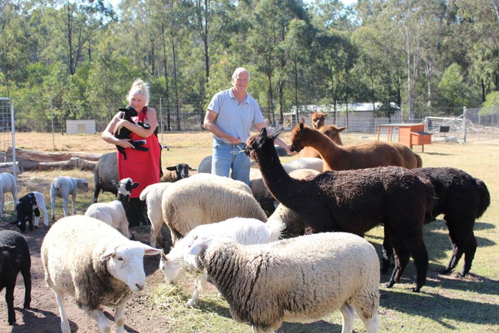 Alpaca Feeding And Wildlife Animal Park and more Private Tour
