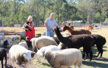 Adventure Day Trips Brisbane1