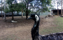 Adventure Day Trips Brisbane1