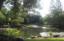 Adventure Day Trips Brisbane17
