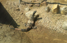Adventure Day Trips Brisbane18