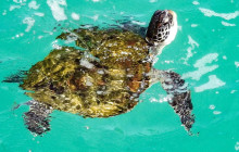 Adventure Day Trips Brisbane2