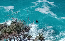 Adventure Day Trips Brisbane25