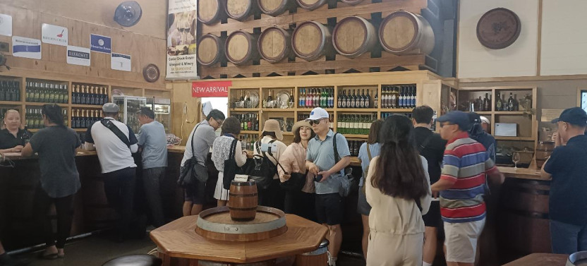 Private Mount Tamborine and Gold Coast Winery Tour