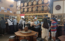 Adventure Day Trips Brisbane2