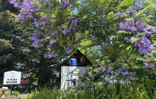 Adventure Day Trips Brisbane5