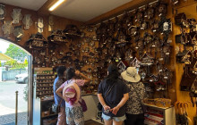 Adventure Day Trips Brisbane7