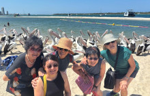 Adventure Day Trips Brisbane8
