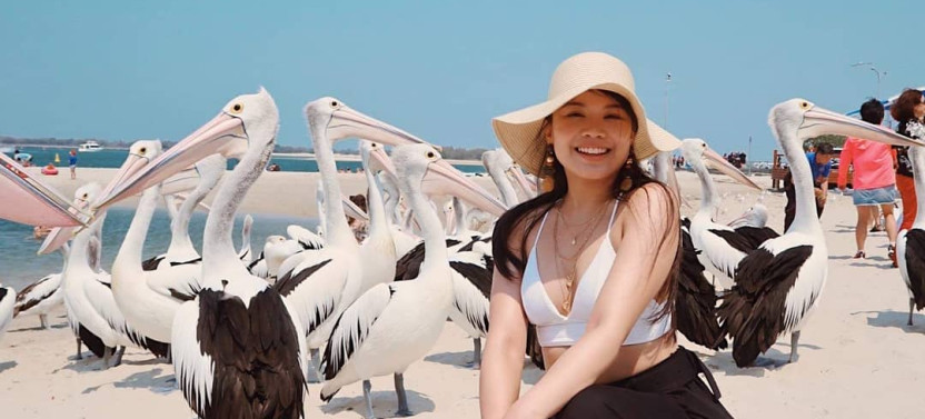 Private Full-Day Gold Coast and Surfers Paradise Tour