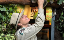 Adventure Day Trips Brisbane5