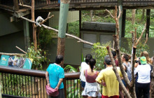 Adventure Day Trips Brisbane6