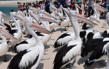 Adventure Day Trips Brisbane8