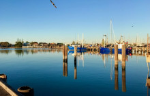 Adventure Day Trips Brisbane12