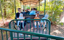 Adventure Day Trips Brisbane8