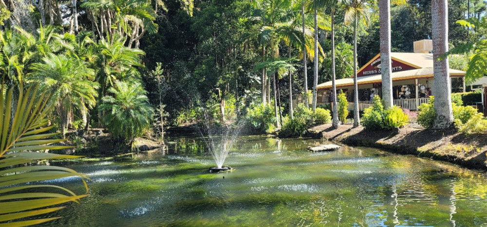 Private Sunshine Coast Hinterland Scenic Views Tour