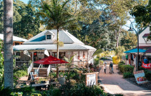 Adventure Day Trips Brisbane12