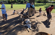 Adventure Day Trips Brisbane1